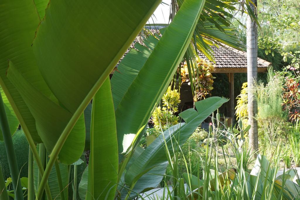 Ibludan Hotel Senggigi Exterior foto